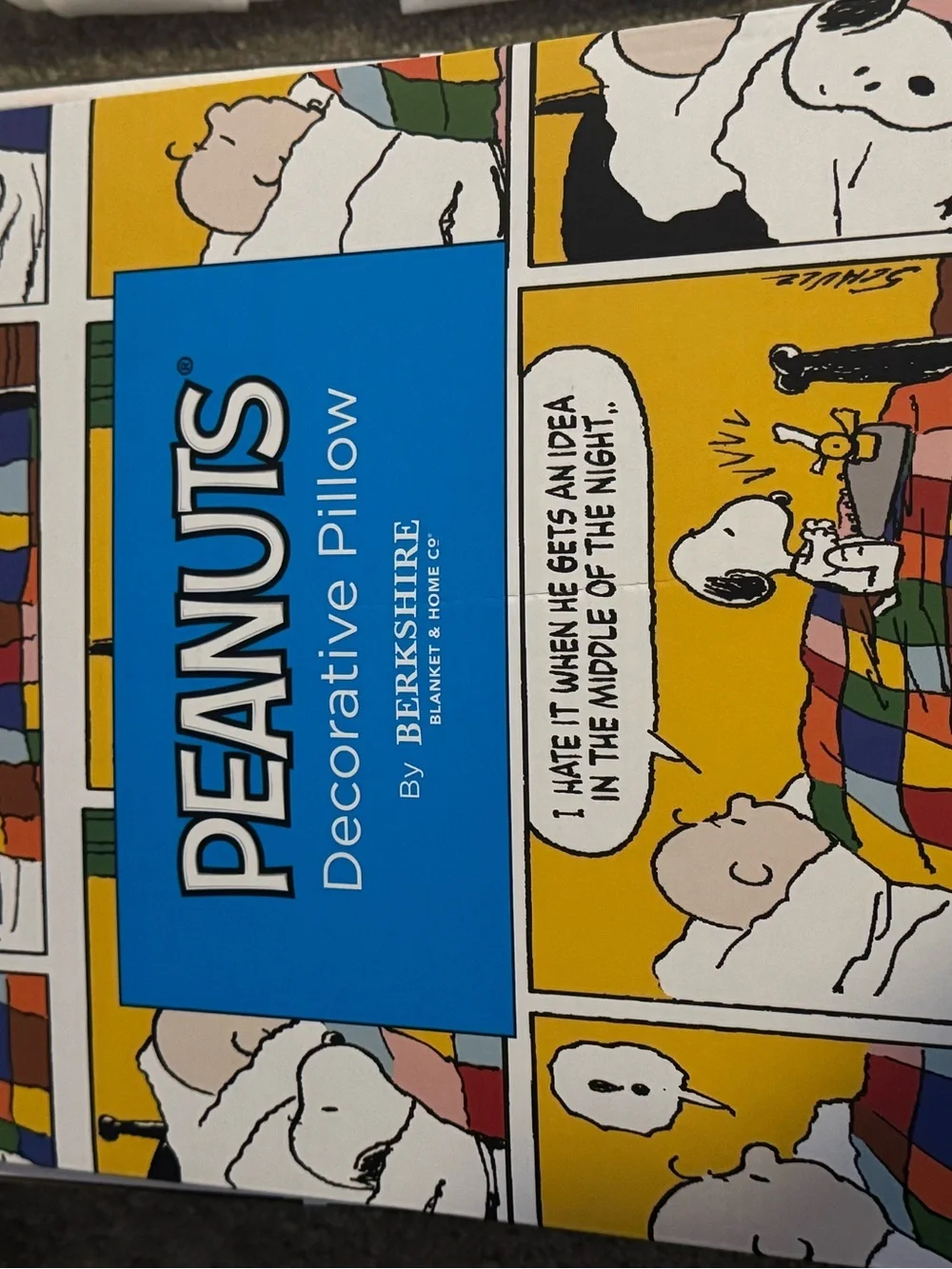Peanuts Charlie Brown & Snoopy Plush Pillow decor